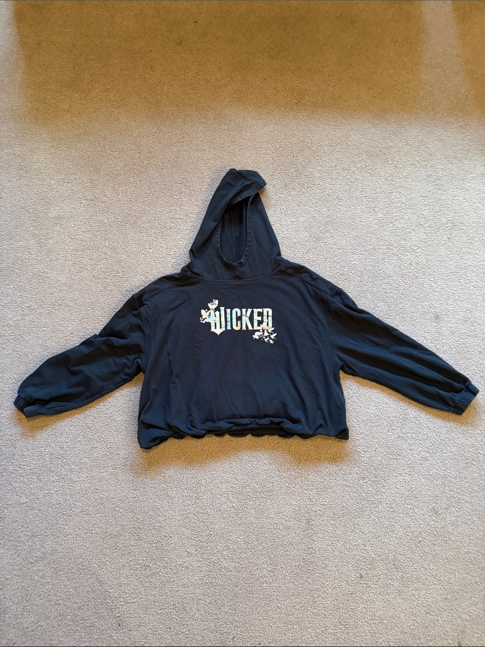 Wicked Graphic Black Cropped Hoodie